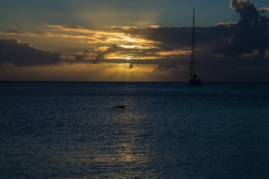 nevis33-copy