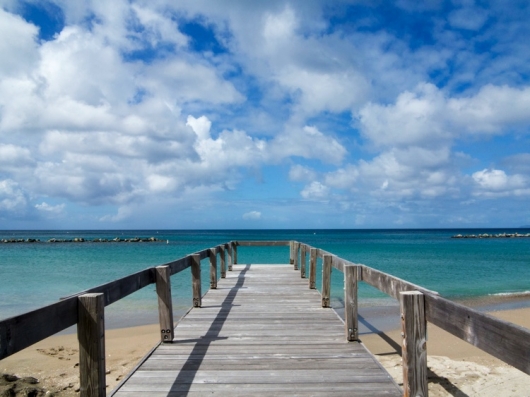 nevis31